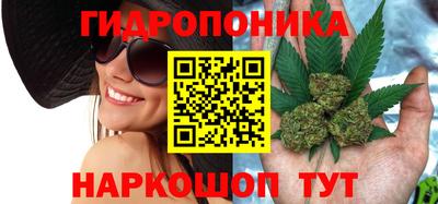 мяу мяу мука Севастополь