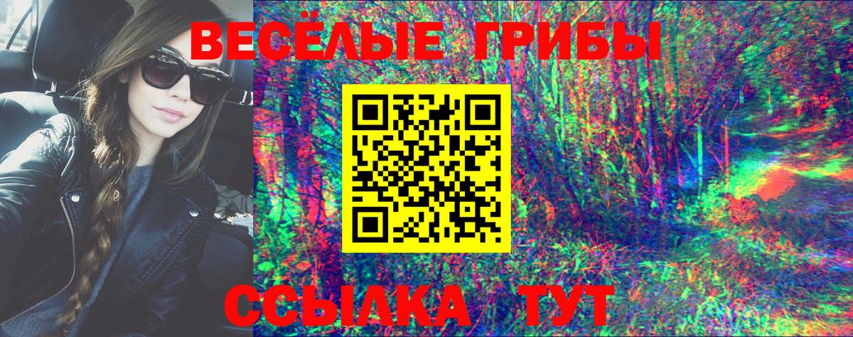 Псилоцибиновые грибы GOLDEN TEACHER Сланцы
