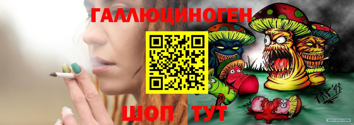 Галлюциногенные грибы GOLDEN TEACHER  продажа наркотиков  Сланцы  Галлюциногенные грибы MAGIC MUSHROOMS  Вход с VPN 