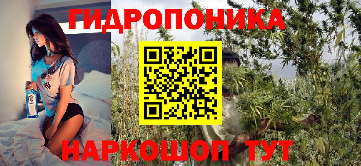 Каннабис SATIVA & INDICA Сланцы